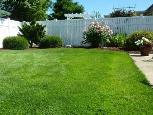 Lawn Care Companies in Cincinnati