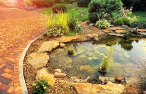 Pond Installation Cincinnati